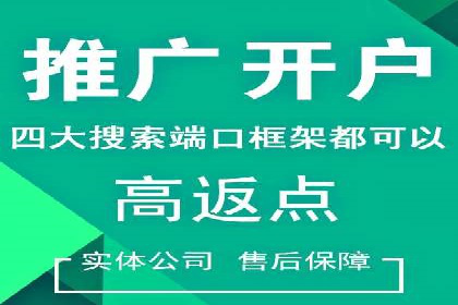 家电行业SEM推广策略：从广告到转化的全过程